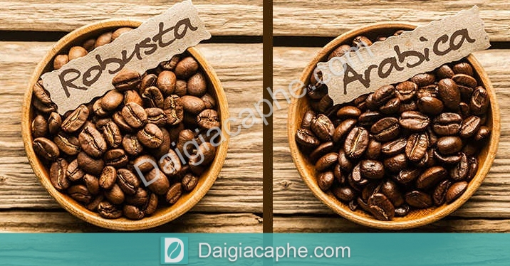 Phân loại cà phê theo tên của các loại hạt cà phê