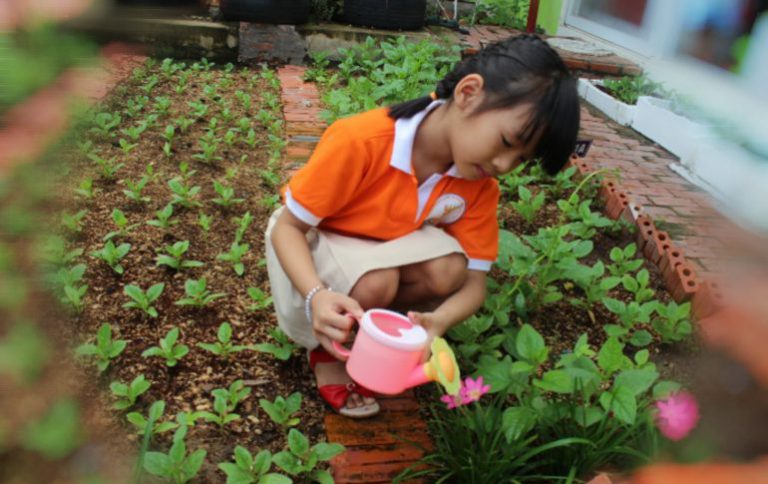 Trường Mầm non Bé Vàng Montessori (Golden Baby Montessori Kindergarten) - Nguyễn Minh Hoàng 3