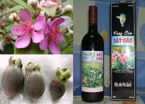Rượu vang sim Phú Quốc (Kiên Giang)
