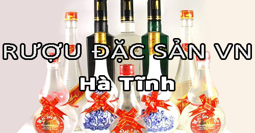 Tìm nhà phân phối rượu đặc sản Việt Nam uy tín ở Hà Tĩnh