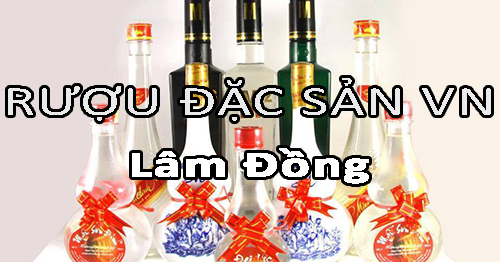 Tìm nhà phân phối rượu đặc sản Việt Nam uy tín ở Lâm Đồng