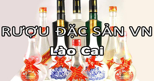 Tìm nhà phân phối rượu đặc sản Việt Nam uy tín ở Lào Cai