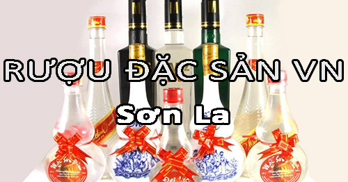 Tìm nhà phân phối rượu đặc sản Việt Nam uy tín ở Sơn La