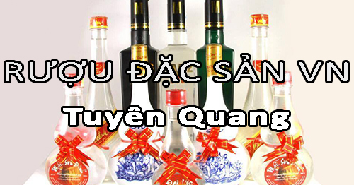 Tìm nhà phân phối rượu đặc sản Việt Nam uy tín ở Tuyên Quang