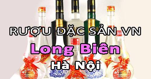 Tìm NPP rượu đặc sản Việt Nam uy tín ở Long Biên - Hà Nội